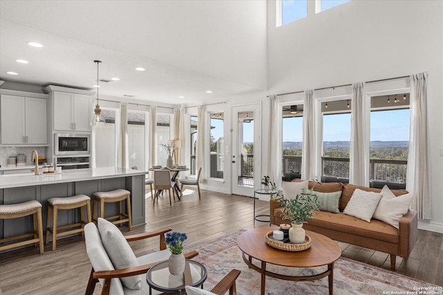 living room with sink, dark hardwood / wood-style flooring, a high ceiling, and a wealth of natural light