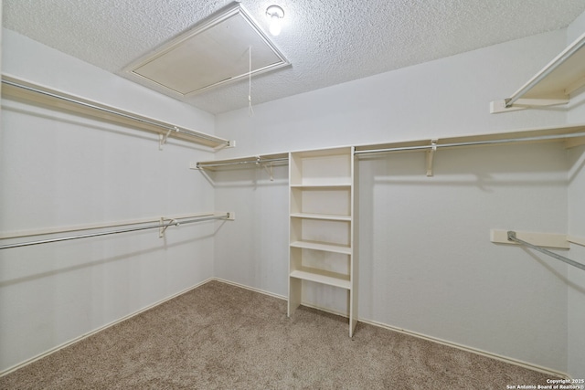 walk in closet with carpet