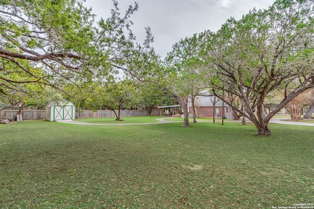 view of yard featuring a storage shed