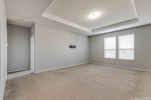 spare room featuring a raised ceiling and light colored carpet