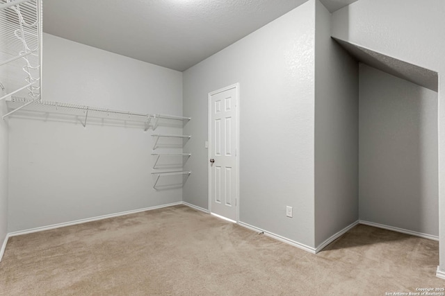 walk in closet featuring light carpet