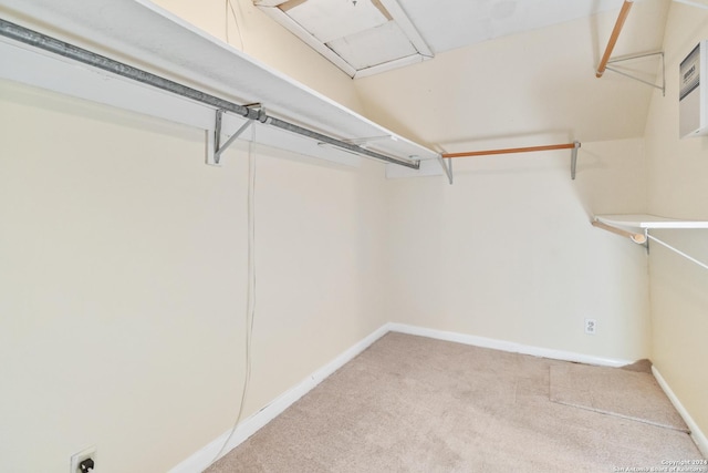 spacious closet featuring carpet