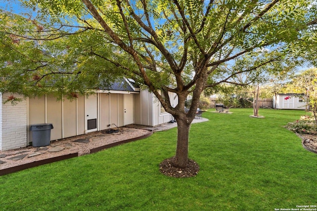 view of yard featuring a storage unit