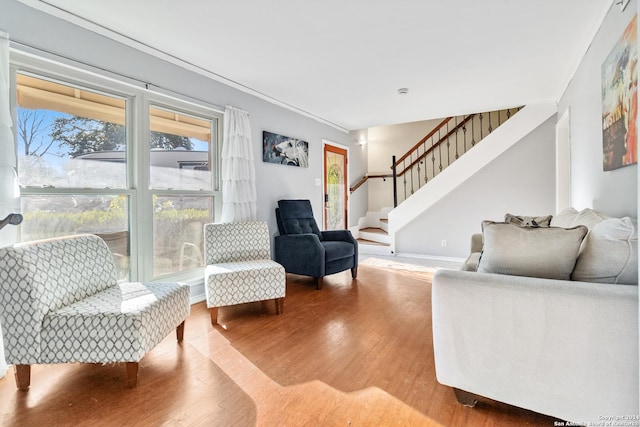 living room featuring wood-type flooring