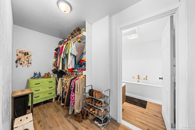 walk in closet featuring hardwood / wood-style floors