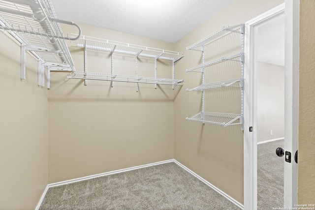 spacious closet featuring carpet