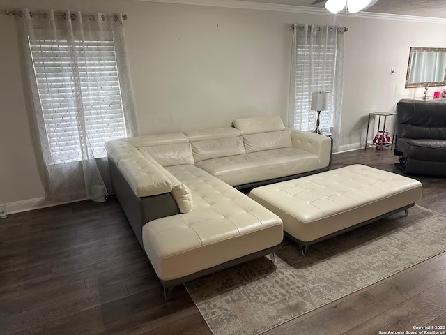 living room featuring crown molding and dark hardwood / wood-style floors