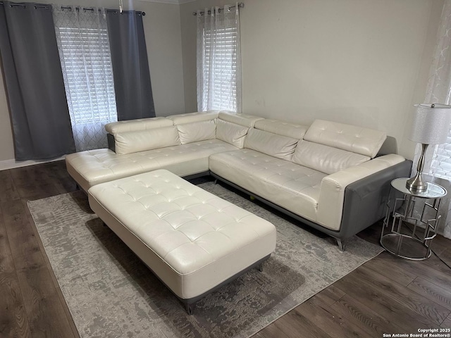 living room with dark hardwood / wood-style flooring