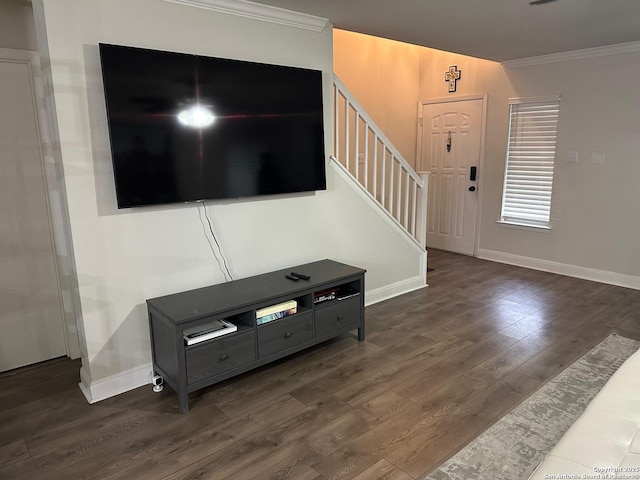 living room with dark wood-type flooring and ornamental molding