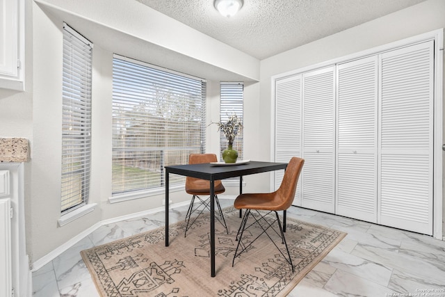 dining space with a textured ceiling and a wealth of natural light