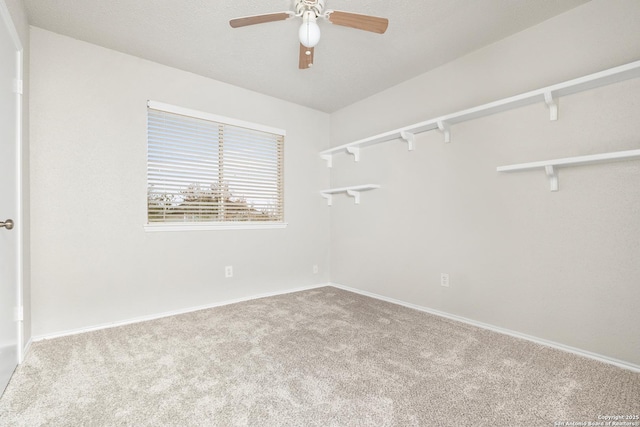 carpeted spare room featuring ceiling fan