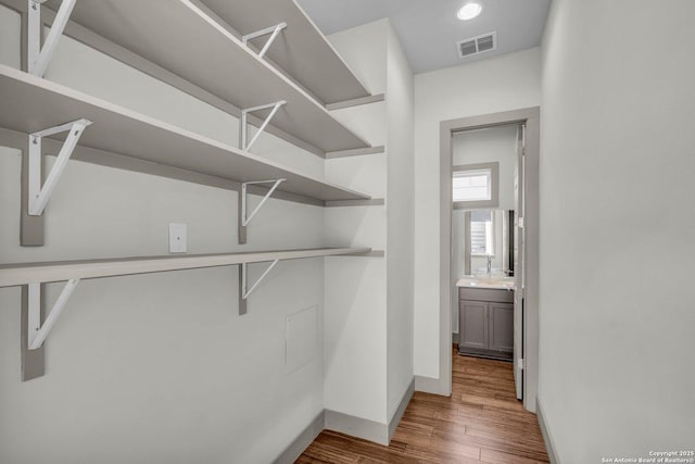 walk in closet with hardwood / wood-style flooring