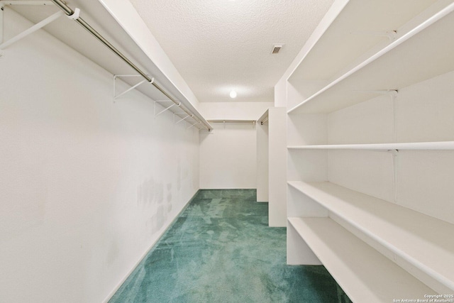 spacious closet with carpet