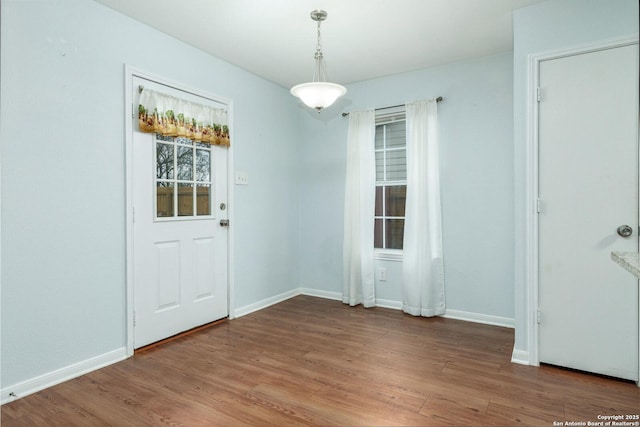 interior space with wood-type flooring