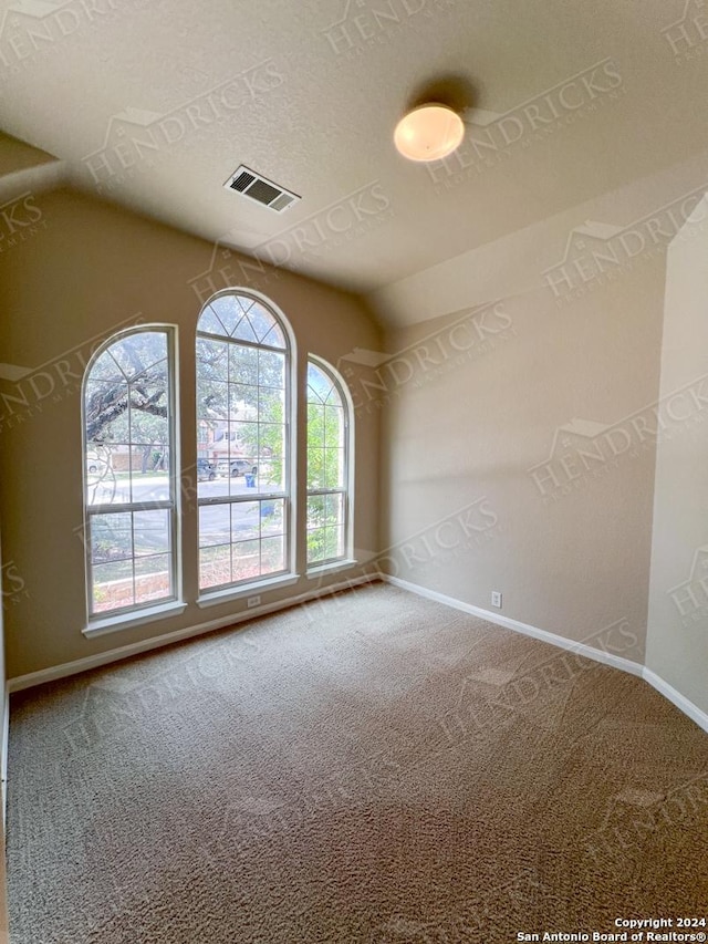 carpeted spare room featuring a textured ceiling