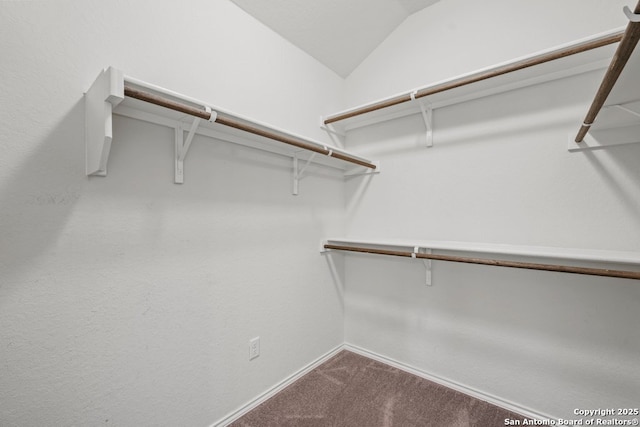 walk in closet featuring carpet flooring and vaulted ceiling