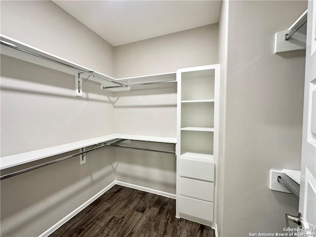 spacious closet featuring dark hardwood / wood-style flooring