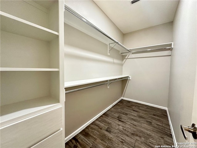 walk in closet featuring dark hardwood / wood-style floors