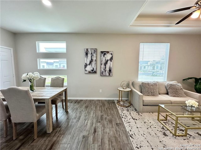 dining area with a tray ceiling, ceiling fan, and wood-type flooring