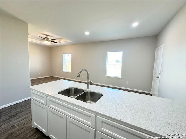 kitchen featuring ceiling fan, sink, light stone counters, dark hardwood / wood-style flooring, and white cabinets