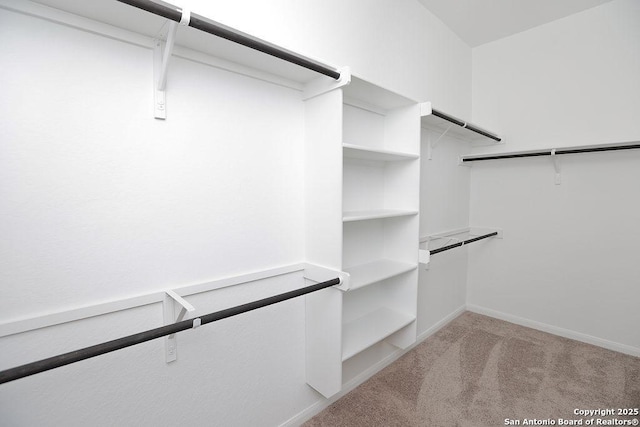 walk in closet with light colored carpet