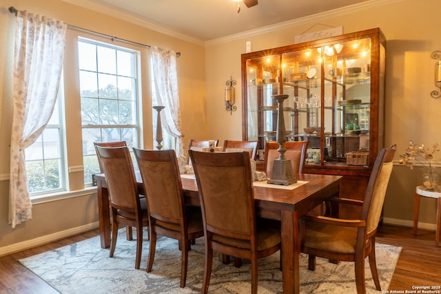 dining room featuring hardwood / wood-style flooring, ornamental molding, and a wealth of natural light