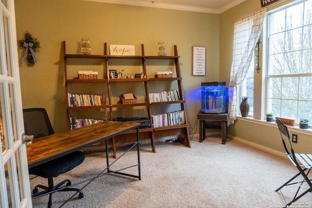 carpeted office space featuring ornamental molding