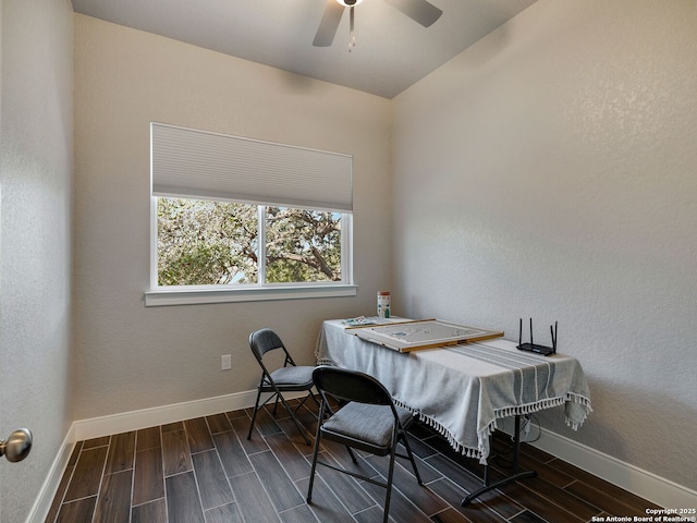 dining space with ceiling fan