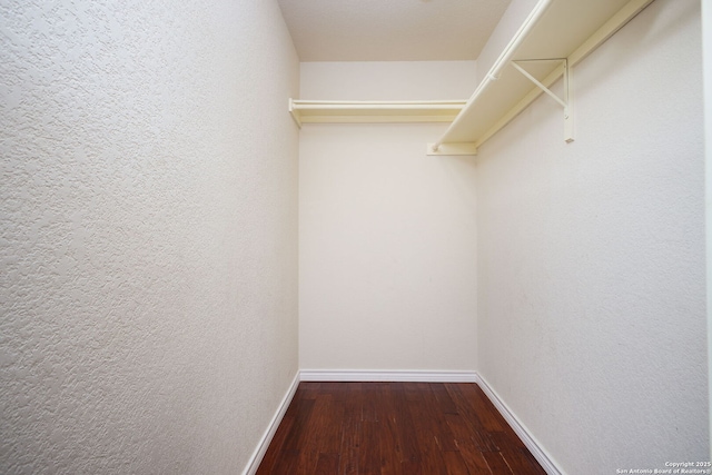 spacious closet with hardwood / wood-style flooring