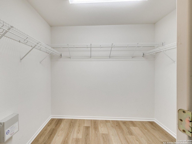 spacious closet featuring hardwood / wood-style floors