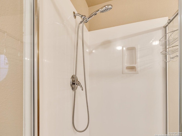 interior details featuring walk in shower