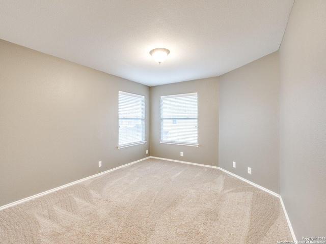 unfurnished room with carpet flooring