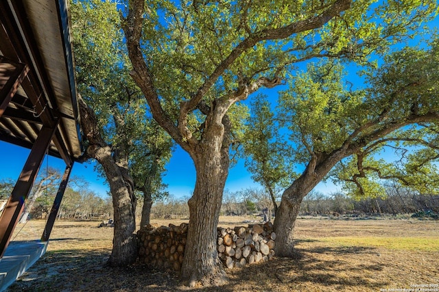 view of yard with a rural view