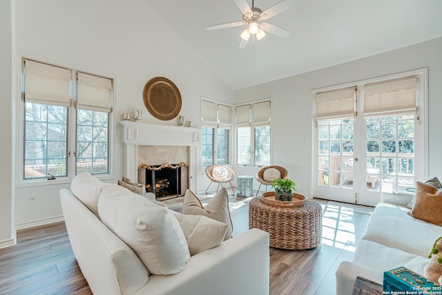 living room with plenty of natural light, lofted ceiling, and a premium fireplace