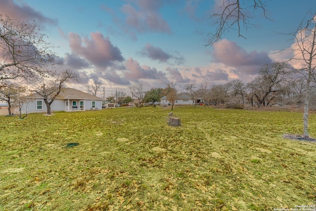 view of yard at dusk