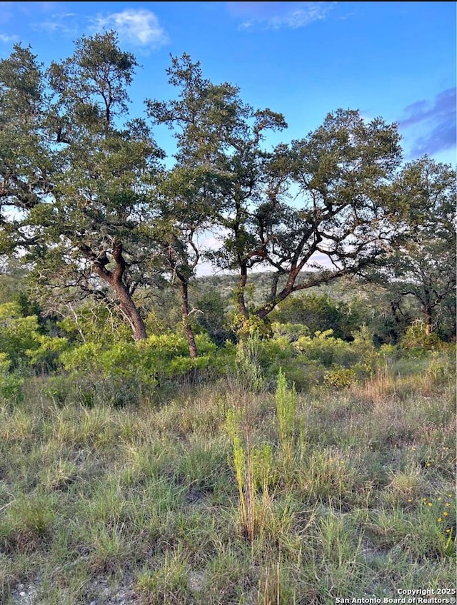 Listing photo 2 for LOT6 Canyon Crk, Preserve Phase Helotes TX 78023