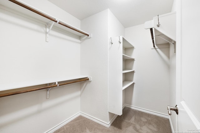 spacious closet featuring carpet flooring