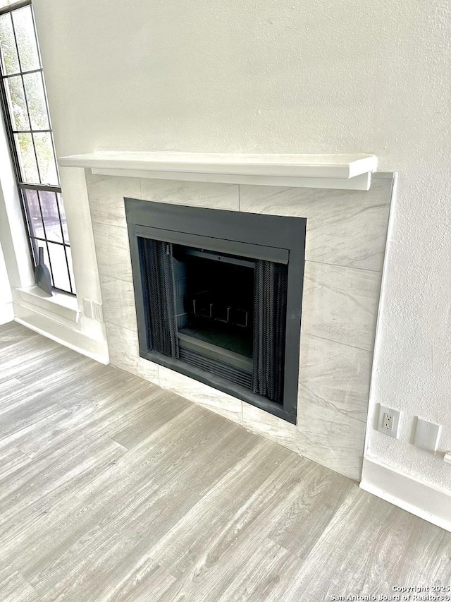 details featuring a fireplace and wood-type flooring