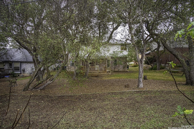 view of yard featuring a wooden deck