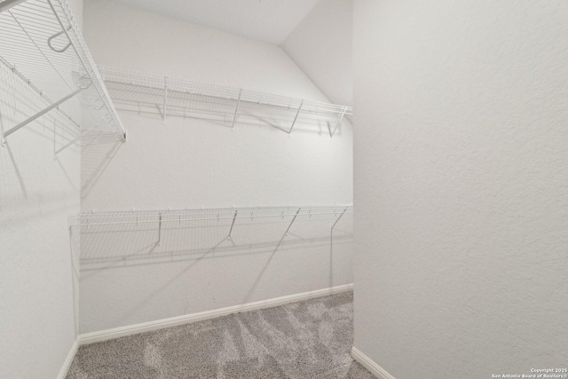 spacious closet with carpet floors