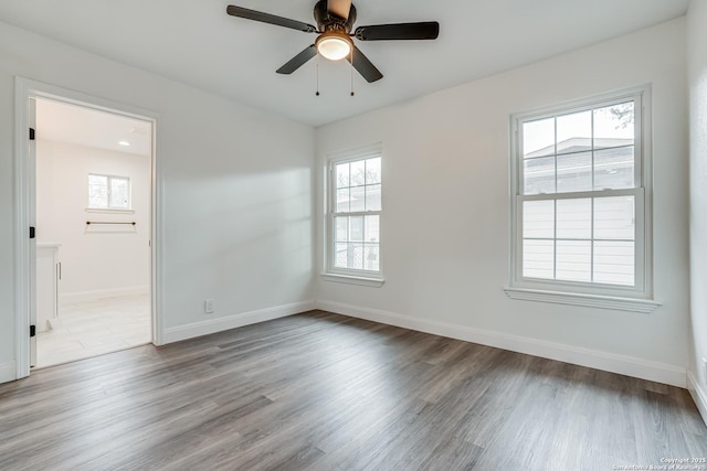 unfurnished room with ceiling fan, light hardwood / wood-style floors, and a wealth of natural light