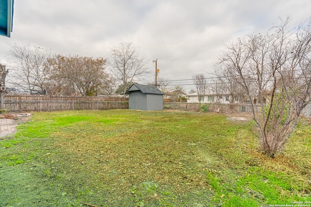 view of yard with a storage shed