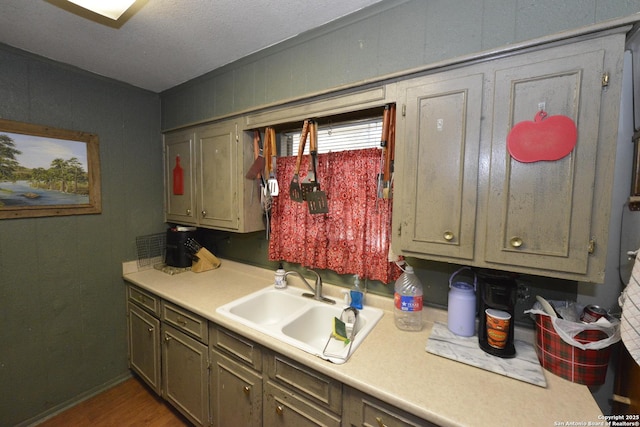 kitchen featuring wood-type flooring and sink