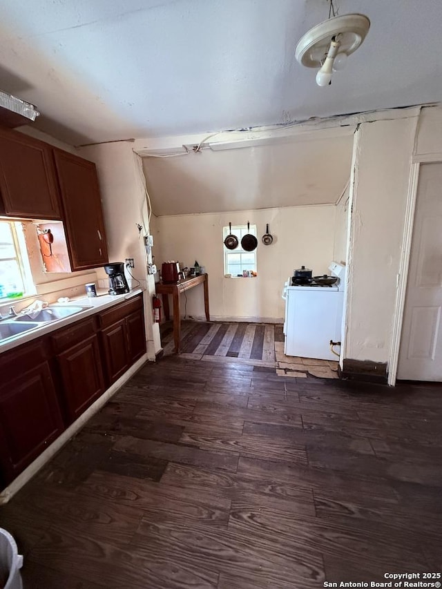 additional living space featuring lofted ceiling, sink, and dark hardwood / wood-style floors