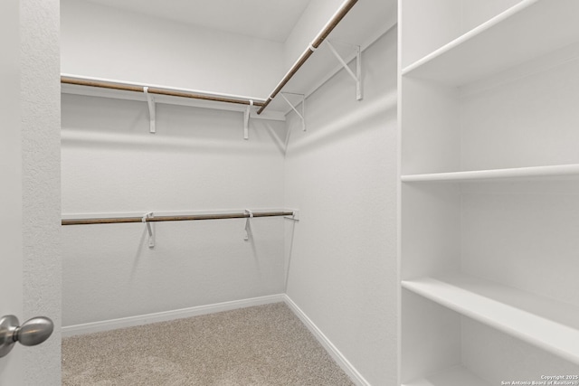 walk in closet featuring carpet