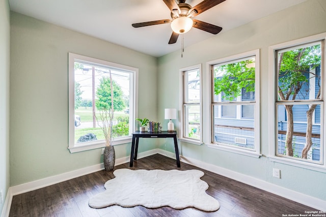 office with ceiling fan and dark wood-type flooring