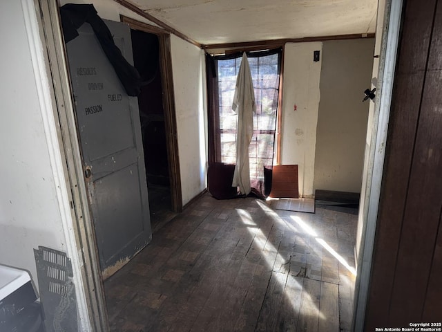 interior space with dark hardwood / wood-style floors