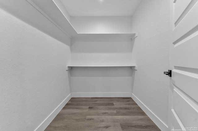 walk in closet featuring wood-type flooring