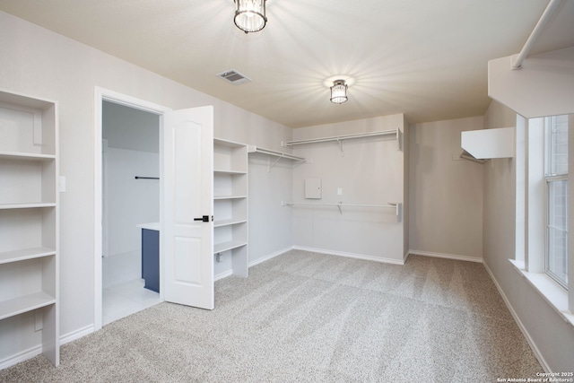 spacious closet featuring light colored carpet