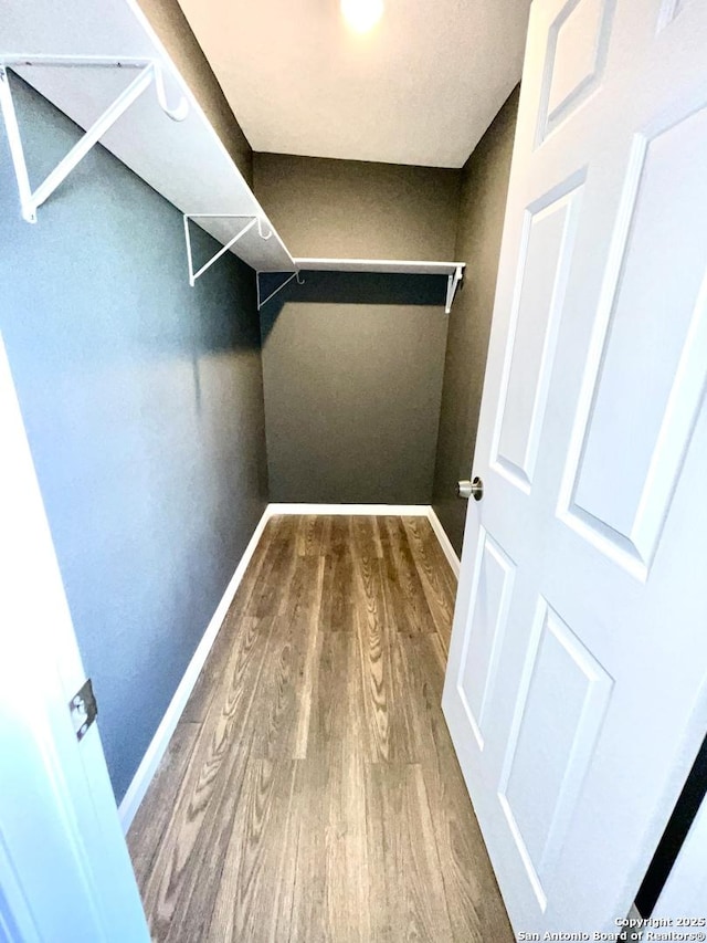 walk in closet with hardwood / wood-style floors